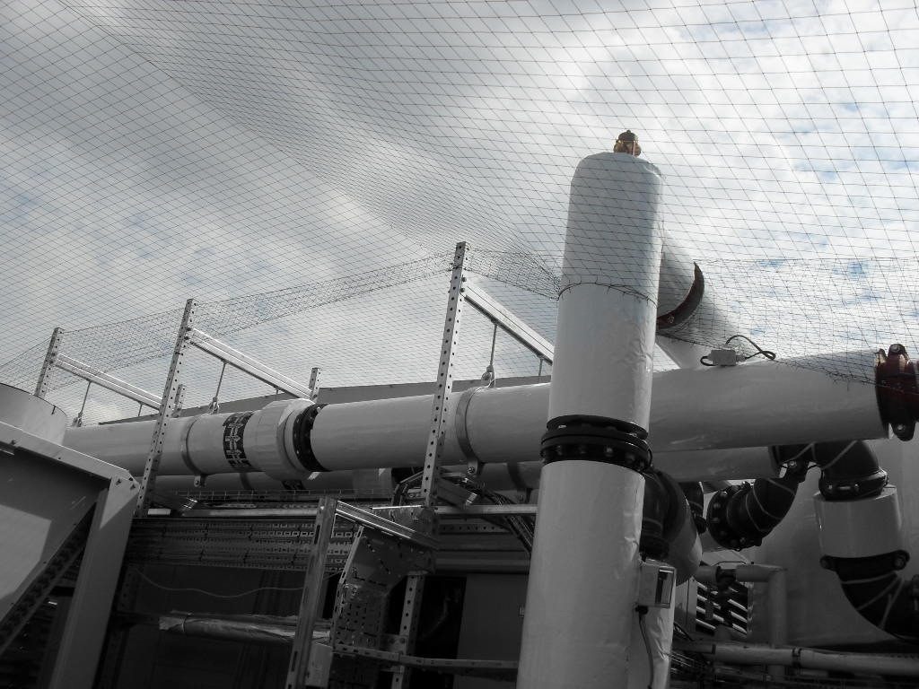 Bird Control in Bury, Greater Manchester